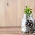 Dividend versus growth investing – which option suits you?